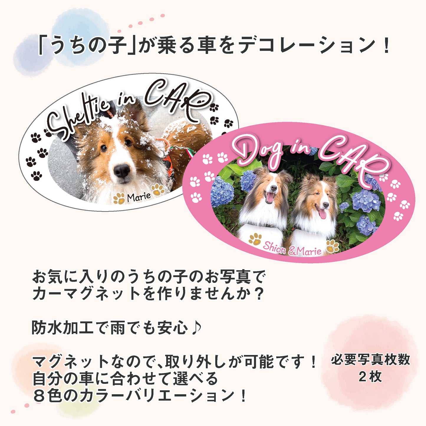 うちの子カーマグネット 楕円形タイプ2枚セット