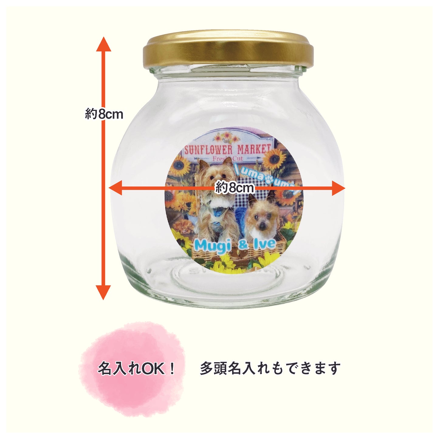 うちの子写真入り うまうまびん 小