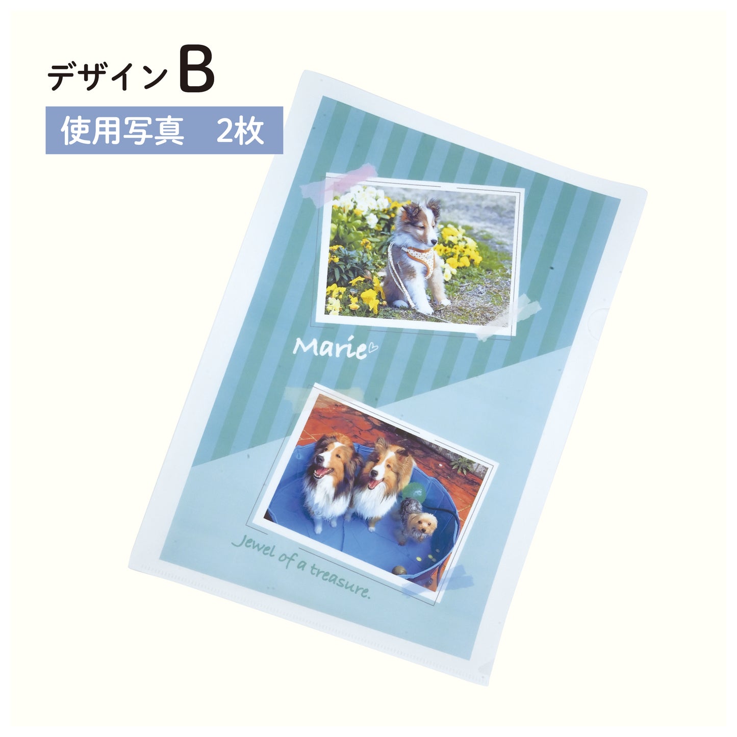 うちの子クリアファイルセット