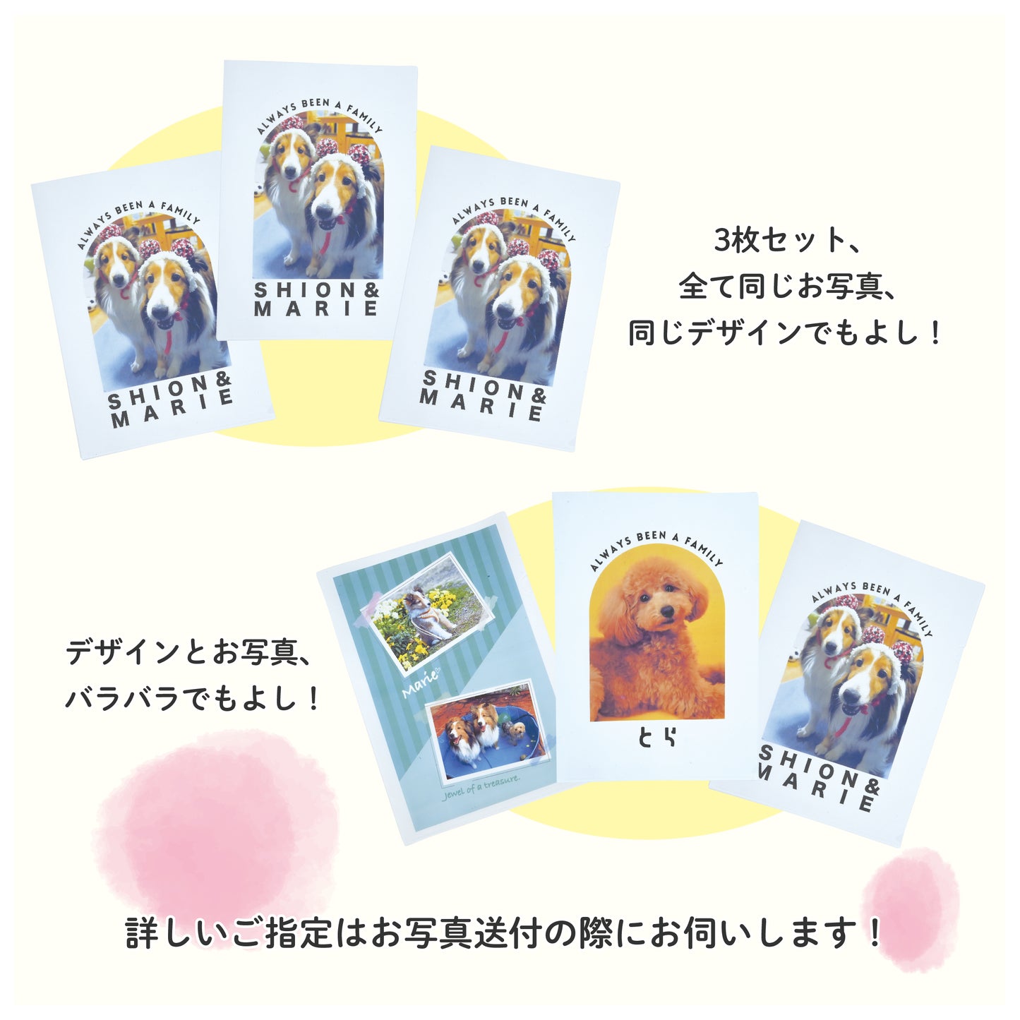 うちの子クリアファイルセット