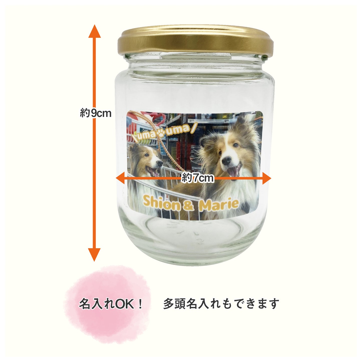 うちの子写真入り うまうまびん 大