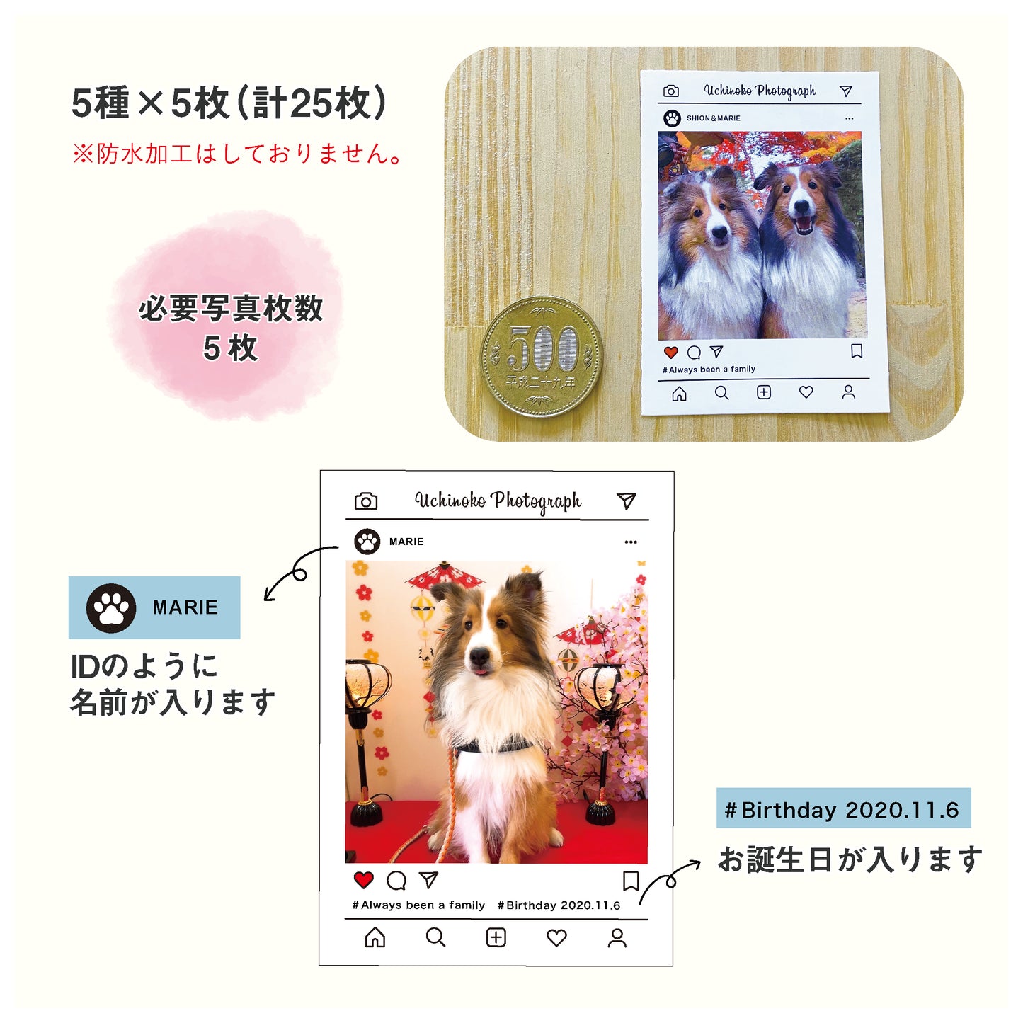 うちの子ステッカー(SNS風長方形55mm×77mm)
