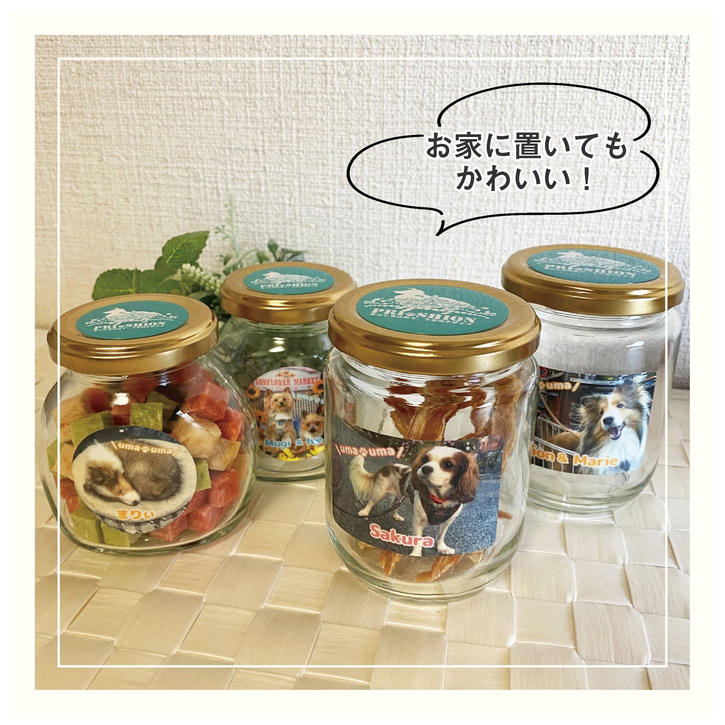 うちの子写真入り うまうまびん 大