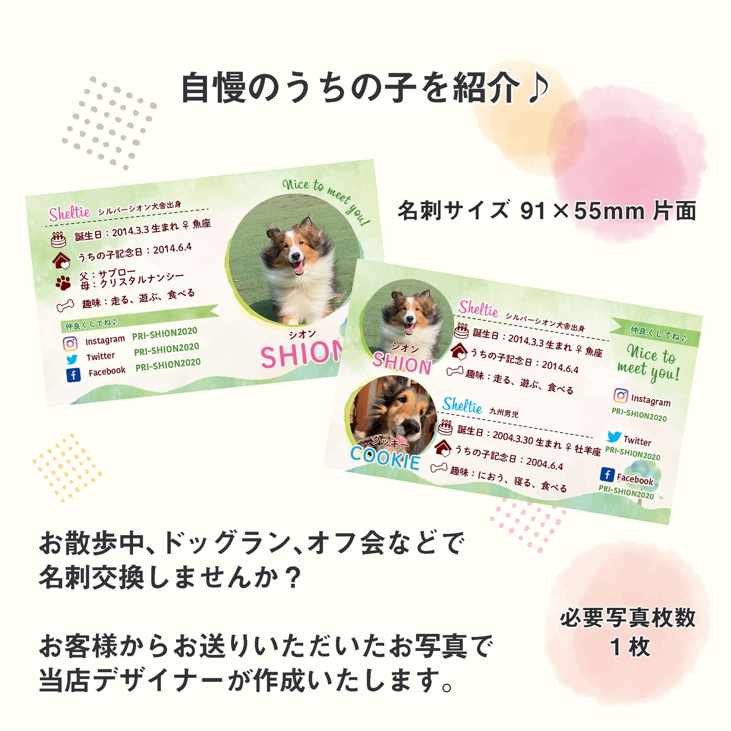 うちの子名刺(さわやかグリーン)