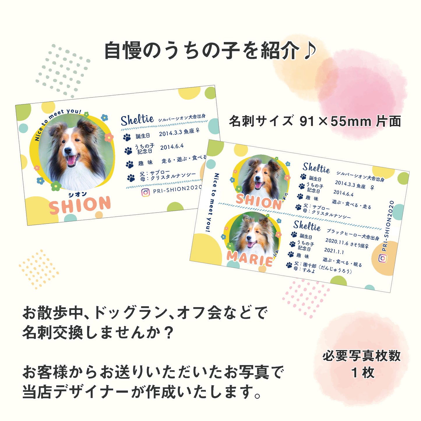 うちの子名刺(カラフルドット)
