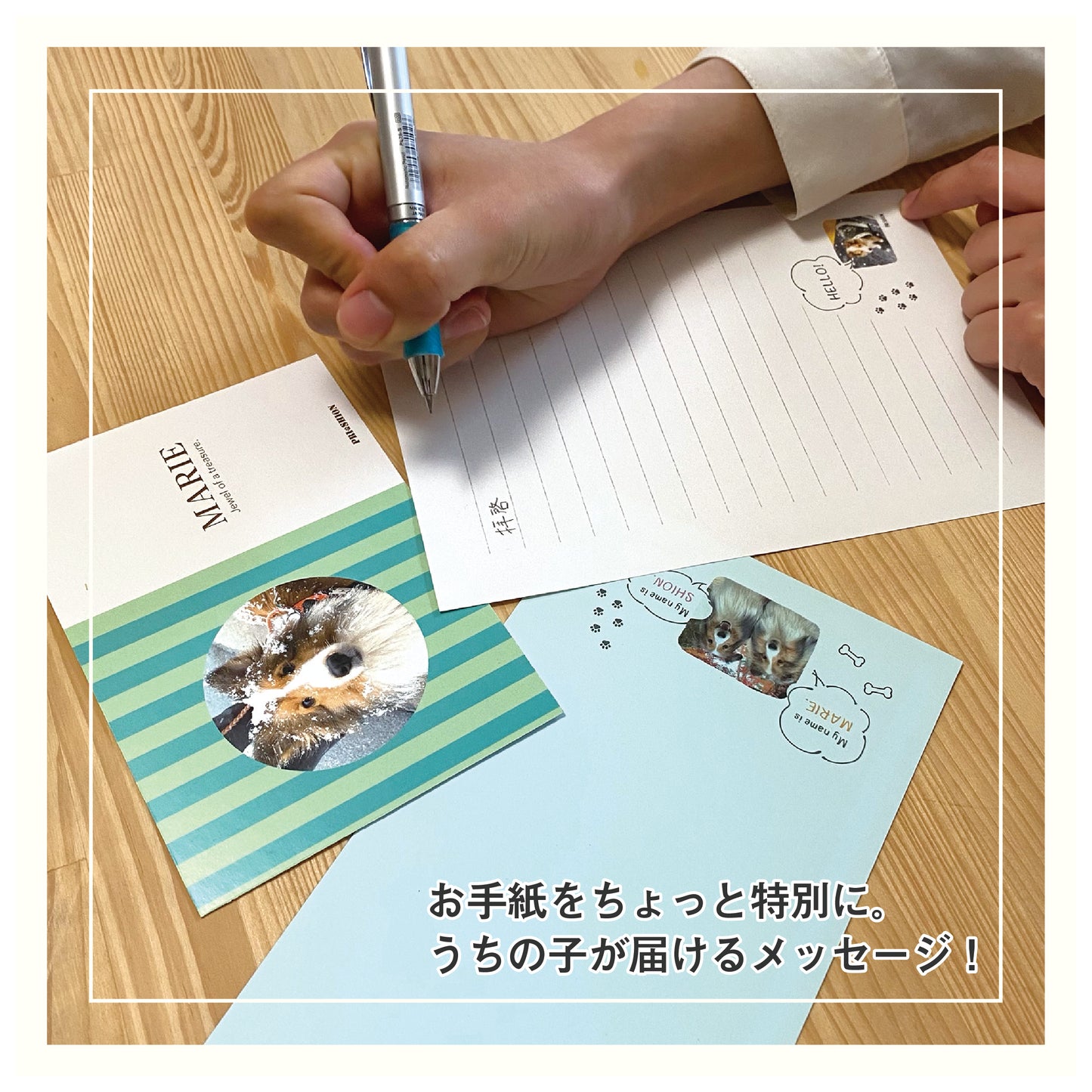 うちの子レターセット