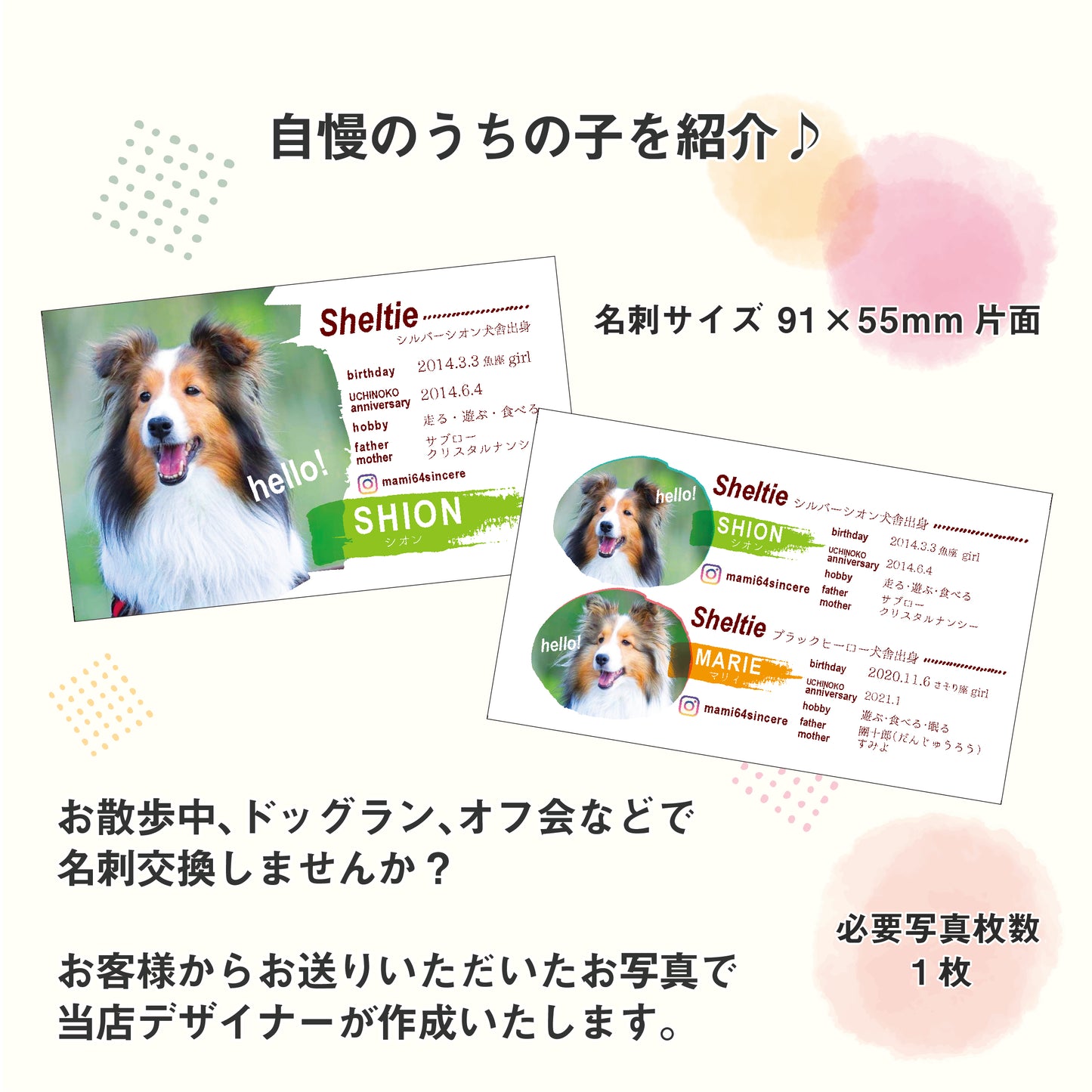 うちの子名刺(スタイリッシュホワイト)
