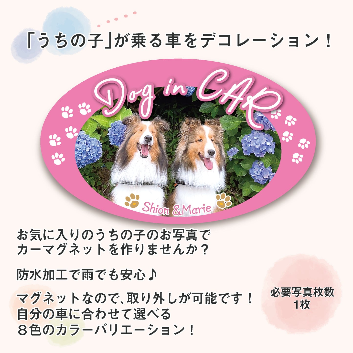うちの子カーマグネット 楕円形タイプ